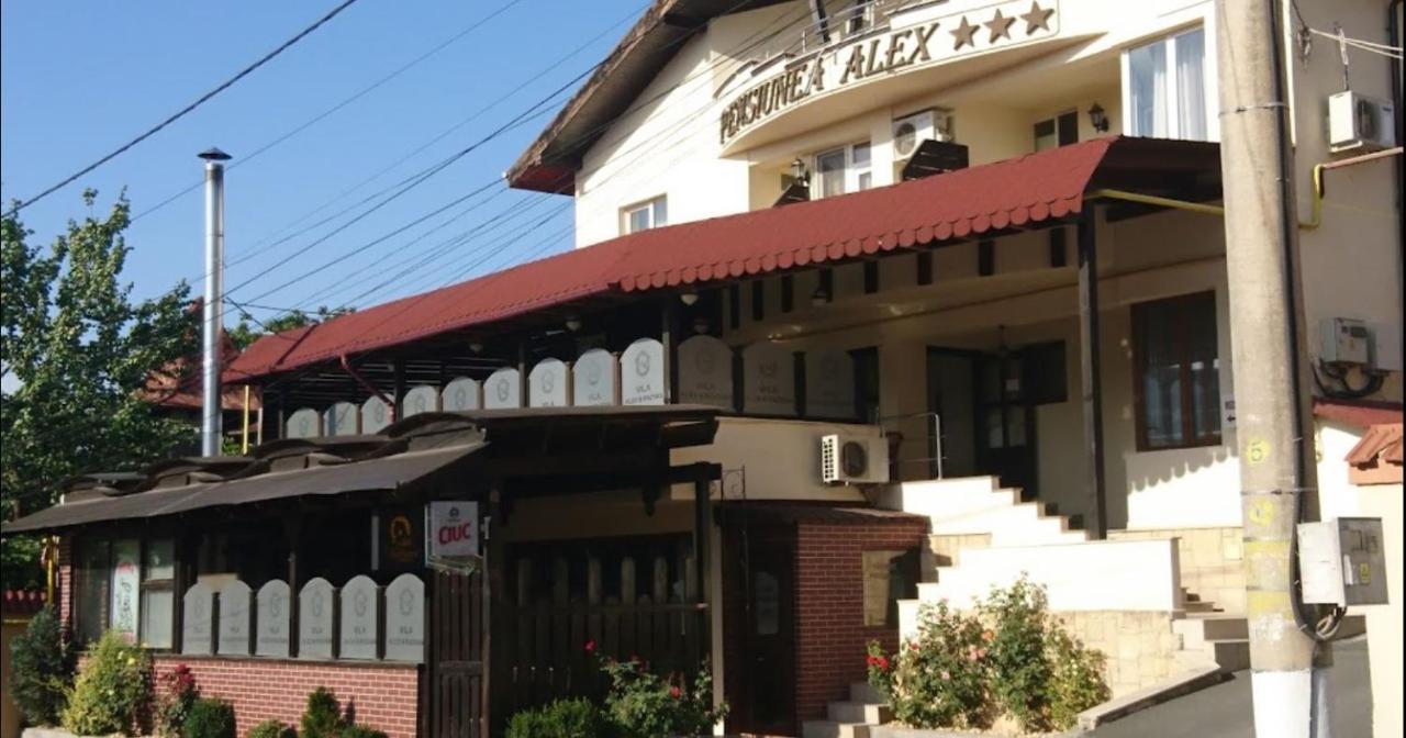 Vila Alex&Razvan トゥルチャ エクステリア 写真
